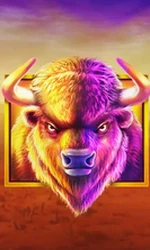 Buffalo King