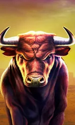 Black Bull
